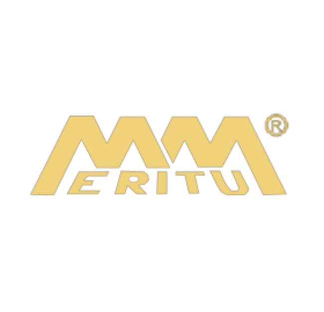 meritum logo