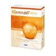 Gestor GT Sfera